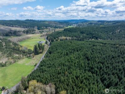 0 Bunker Creek Road , Adna, WA 98522 - Photo 19