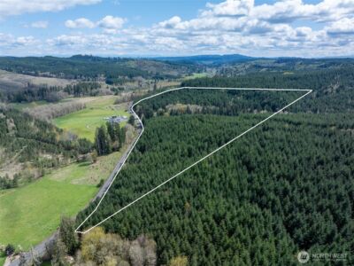 0 Bunker Creek Road , Adna, WA 98522 - Photo 2