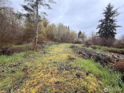 0 Bunker Creek Road , Adna, WA 98522 - Photo 4