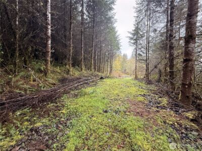 0 Bunker Creek Road , Adna, WA 98522 - Photo 5