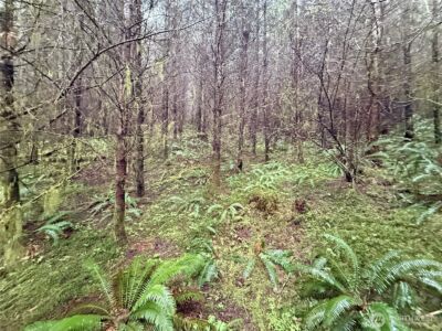 0 Bunker Creek Road , Adna, WA 98522 - Photo 6
