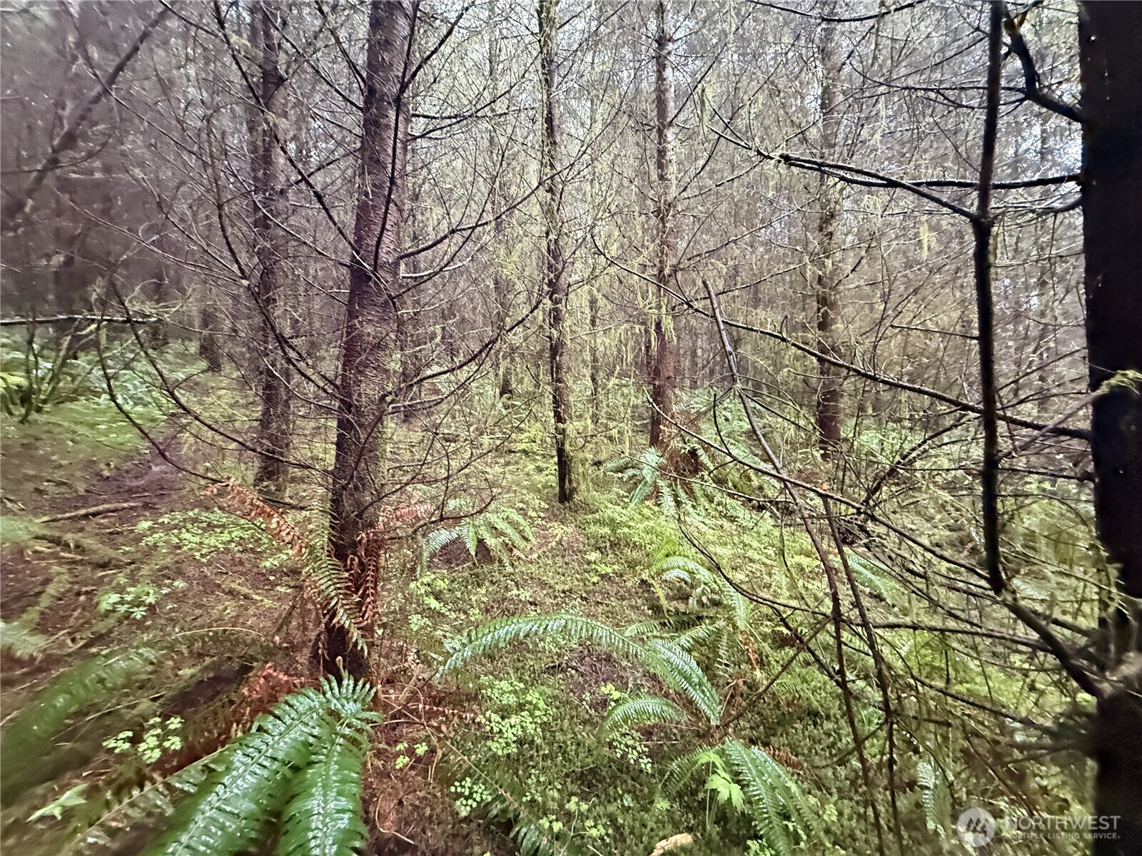 0 Bunker Creek Road , Adna, WA 98522