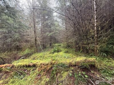 0 Bunker Creek Road , Adna, WA 98522 - Photo 10