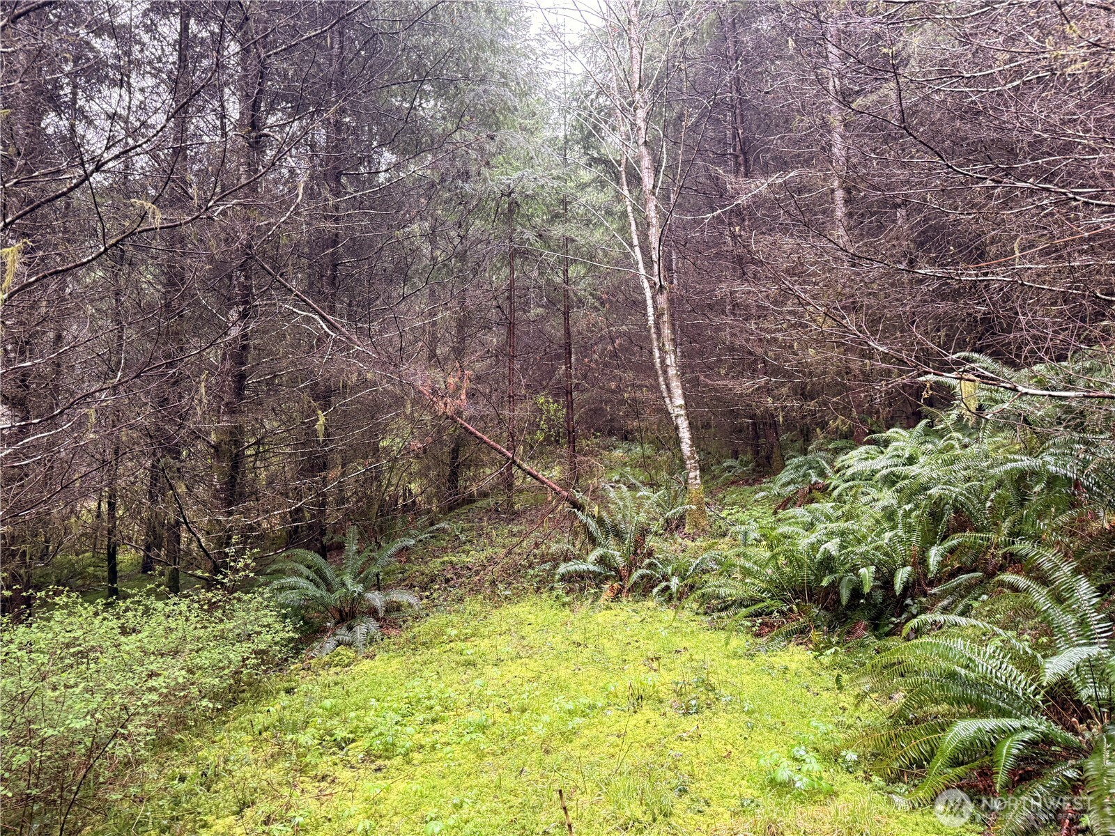 0 Bunker Creek Road , Adna, WA 98522