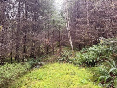 0 Bunker Creek Road , Adna, WA 98522 - Photo 11