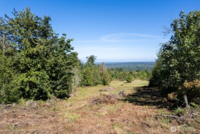 99999 Mt Pleasant Road , Port Angeles, WA 98362 - Photo 14