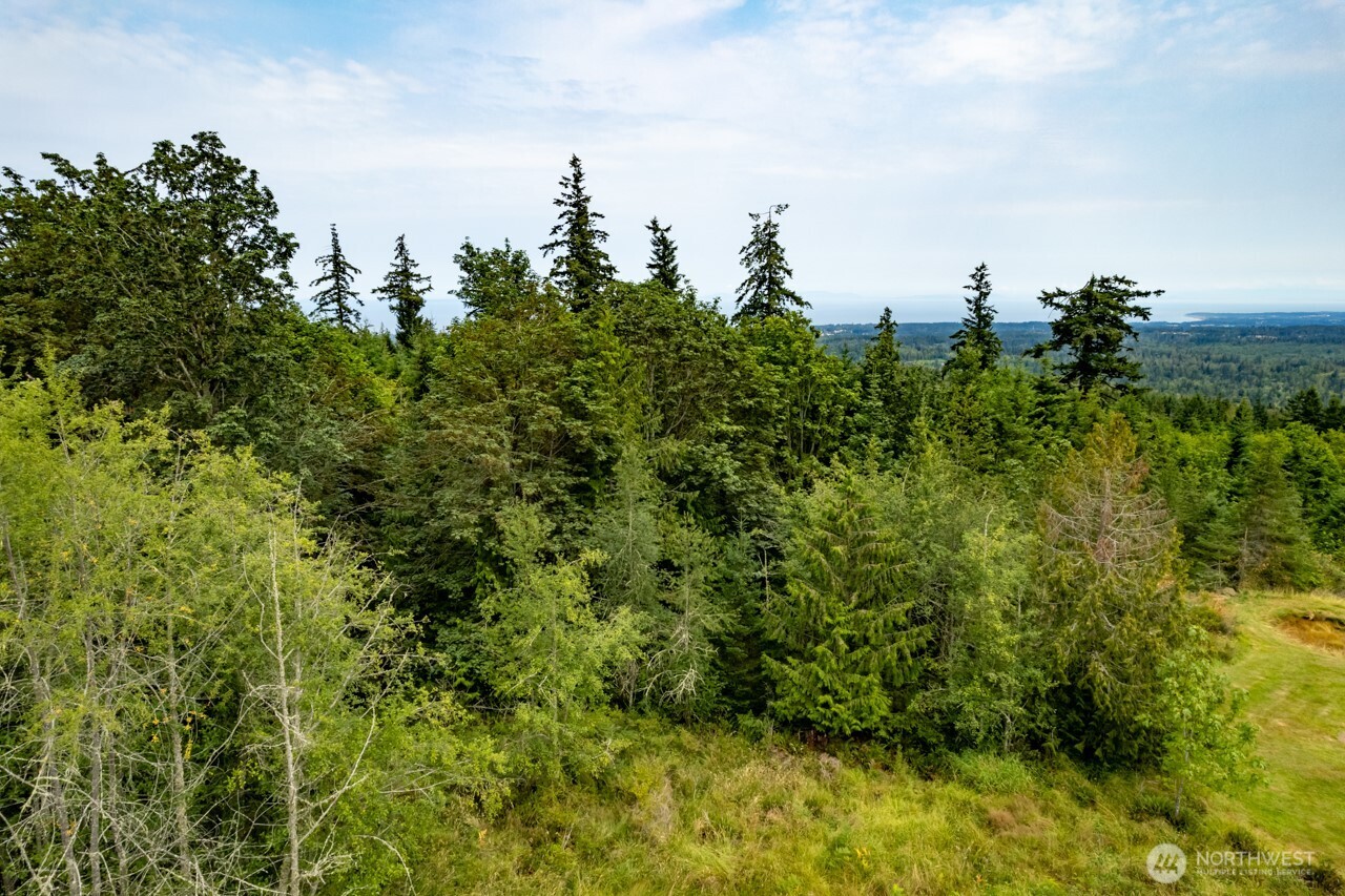 99999 Mt Pleasant Road , Port Angeles, WA 98362