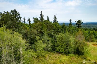 99999 Mt Pleasant Road , Port Angeles, WA 98362 - Photo 18