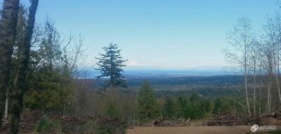 99999 Mt Pleasant Road , Port Angeles, WA 98362 - Photo 2
