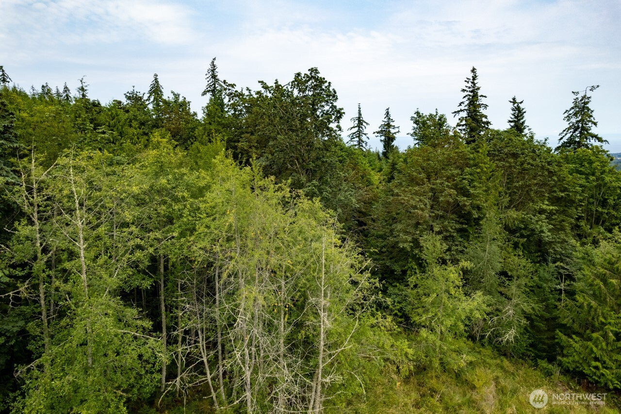 99999 Mt Pleasant Road , Port Angeles, WA 98362