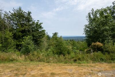 99999 Mt Pleasant Road , Port Angeles, WA 98362 - Photo 23