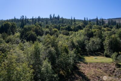 99999 Mt Pleasant Road , Port Angeles, WA 98362 - Photo 26