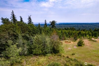 99999 Mt Pleasant Road , Port Angeles, WA 98362 - Photo 4