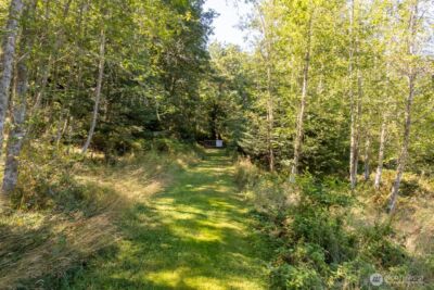99999 Mt Pleasant Road , Port Angeles, WA 98362 - Photo 9