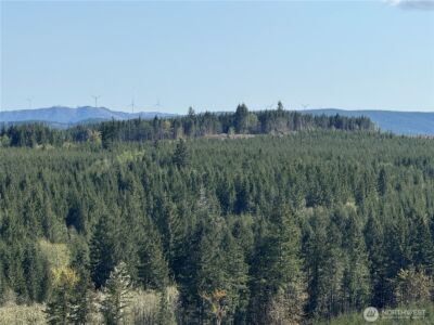 6 xx Oppelt Road , Chehalis, WA 98532 - Photo 11
