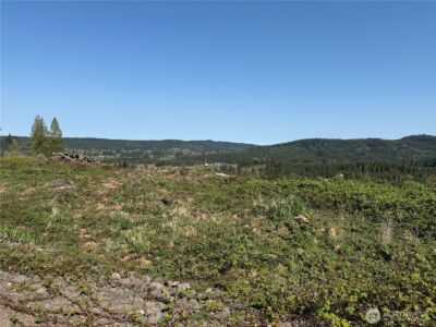 6 xx Oppelt Road , Chehalis, WA 98532 - Photo 2