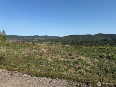 6 xx Oppelt Road , Chehalis, WA 98532 - Photo 3
