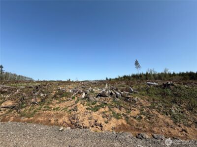 7 xx Centralia Alpha Road , Chehalis, WA 98532 - Photo 2
