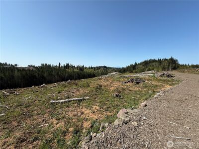7 xx Centralia Alpha Road , Chehalis, WA 98532 - Photo 3