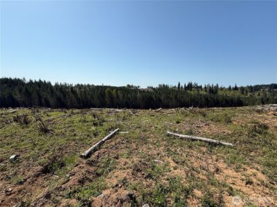 7 xx Centralia Alpha Road , Chehalis, WA 98532 - Photo 4