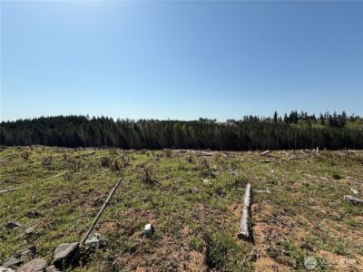 7 xx Centralia Alpha Road , Chehalis, WA 98532 - Photo 5