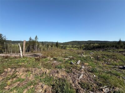 4 xx Oppelt Road , Chehalis, WA 98532 - Photo 2