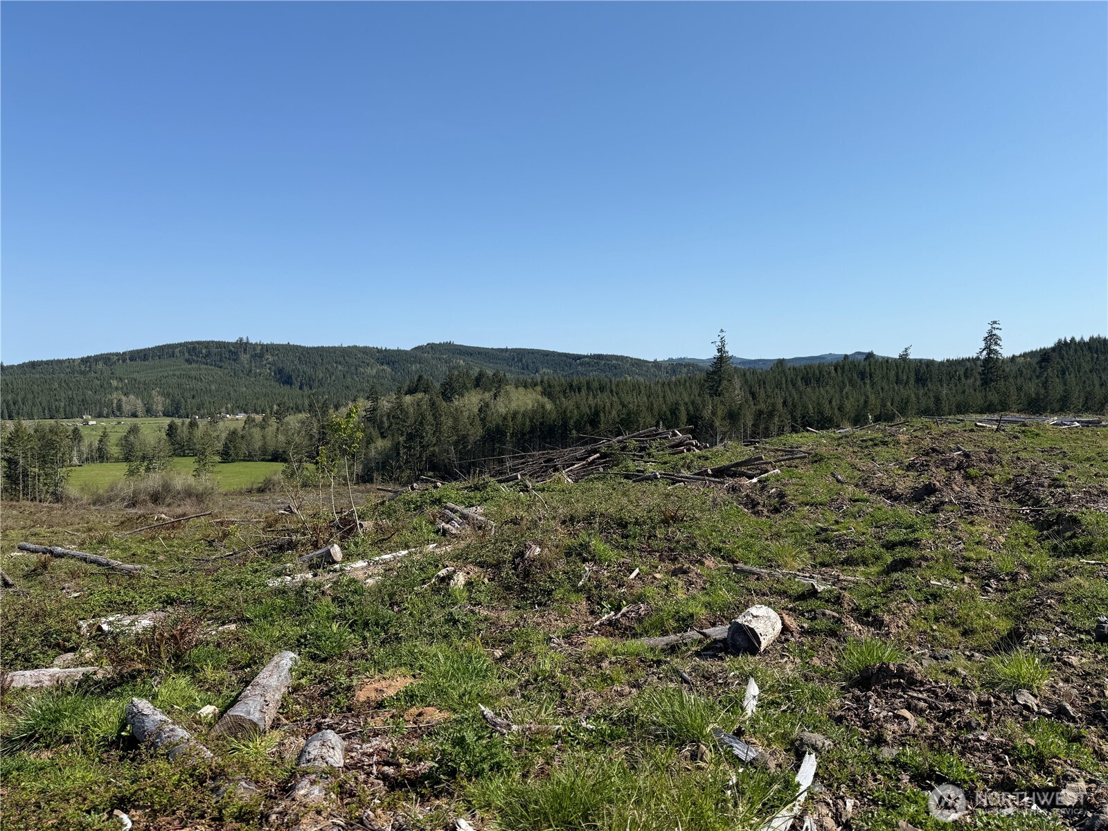 4 xx Oppelt Road , Chehalis, WA 98532
