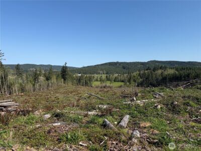 4 xx Oppelt Road , Chehalis, WA 98532 - Photo 4