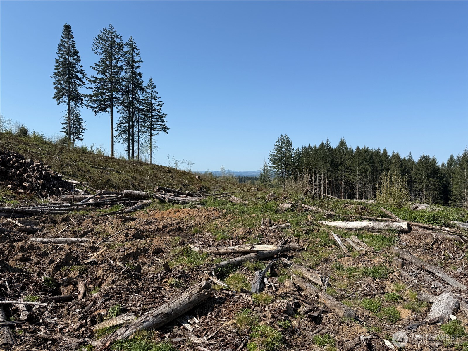 4 xx Oppelt Road , Chehalis, WA 98532