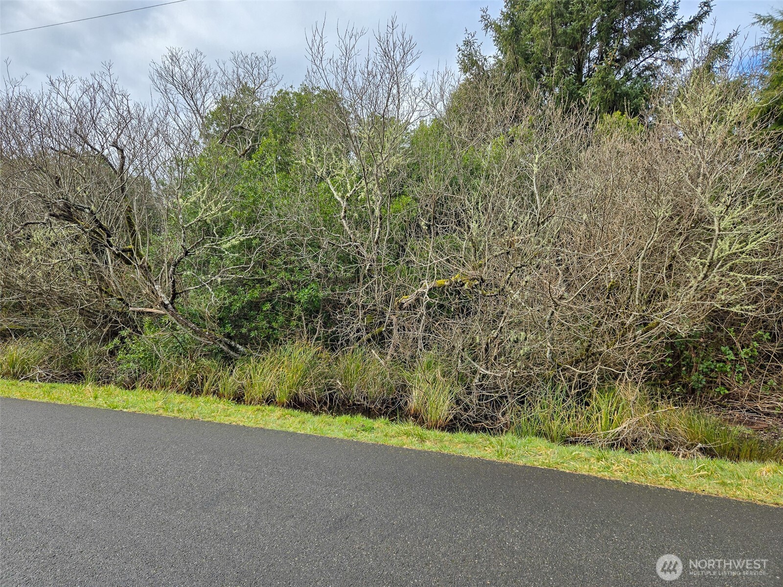 318 N Wynoochee Drive SW, Ocean Shores, WA 98569