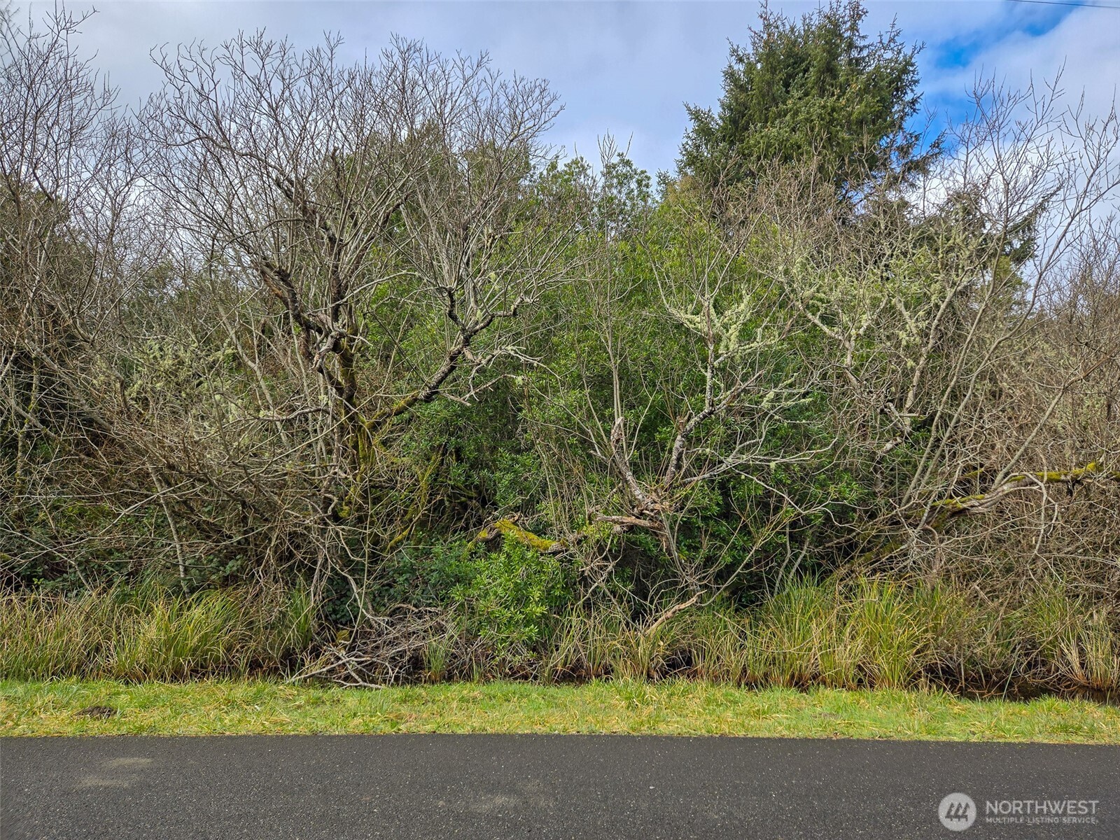 318 N Wynoochee Drive SW, Ocean Shores, WA 98569
