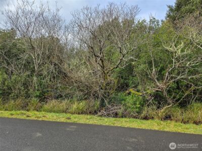 318 N Wynoochee Drive SW, Ocean Shores, WA 98569 - Photo 3