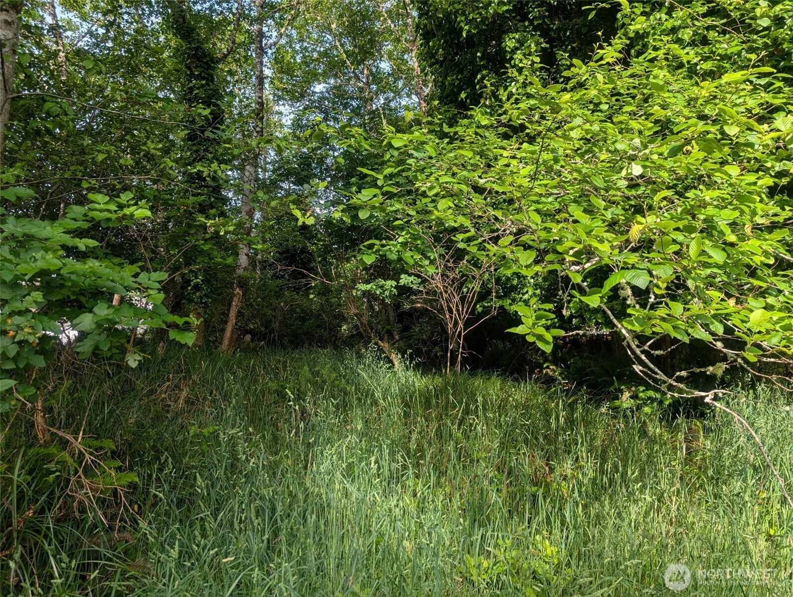 413 Lake View Loop NE, Ocean Shores, WA 98569