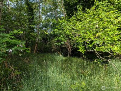 413 Lake View Loop NE, Ocean Shores, WA 98569 - Photo 11