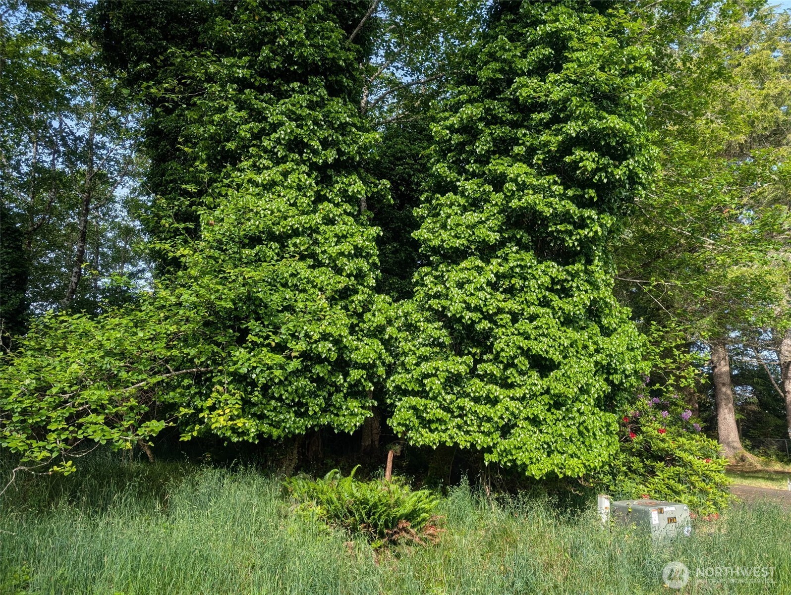 413 Lake View Loop NE, Ocean Shores, WA 98569