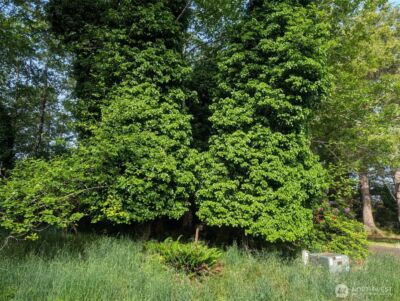 413 Lake View Loop NE, Ocean Shores, WA 98569 - Photo 9