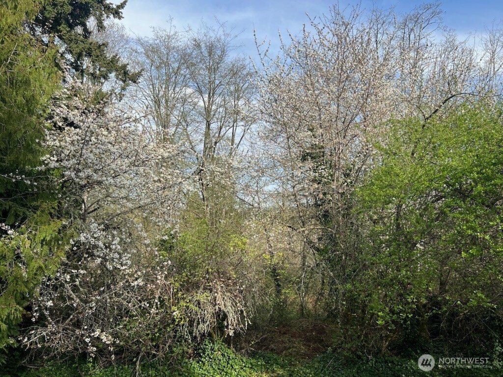 2111 Ponderosa Drive SE, Port Orchard, WA 98366