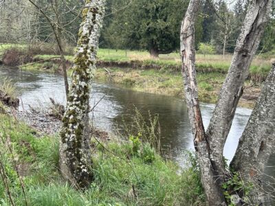 18538 Dynamite Dr SE , Yelm, WA 98597 - Photo 29