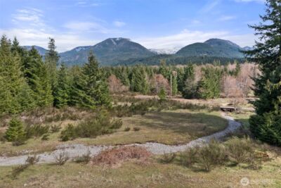216 Eagle Peak Drive , Packwood, WA 98361 - Photo 28