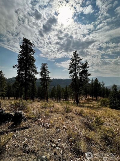0 NNA Cooper Mountain Road , Manson, WA 98831 - Photo 17