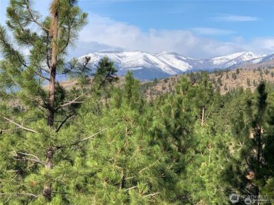 0 NNA Cooper Mountain Road , Manson, WA 98831 - Photo 2