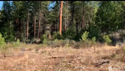 0 NNA Cooper Mountain Road , Manson, WA 98831 - Photo 4