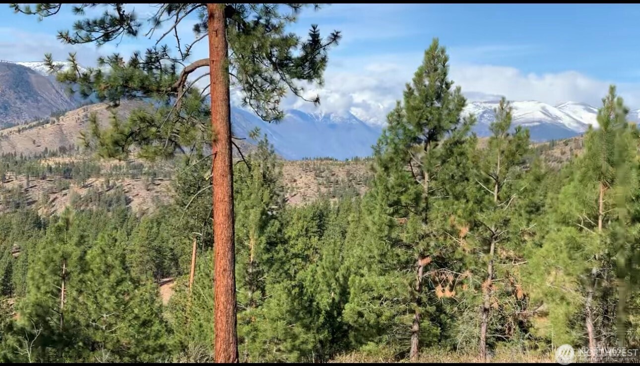 0 NNA Cooper Mountain Road , Manson, WA 98831