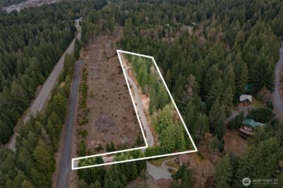 134 Grizzly Road , Packwood, WA 98361 - Photo 3