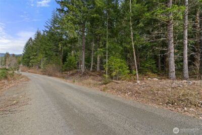 134 Grizzly Road , Packwood, WA 98361 - Photo 5