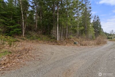 134 Grizzly Road , Packwood, WA 98361 - Photo 6