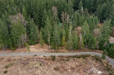 134 Grizzly Road , Packwood, WA 98361 - Photo 7