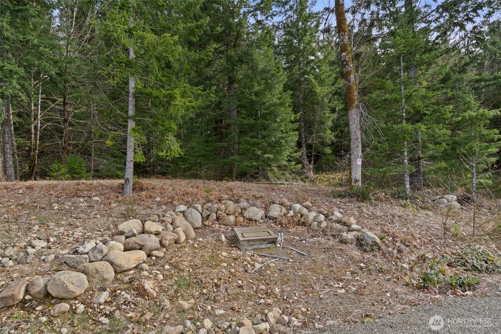 134 Grizzly Road , Packwood, WA 98361