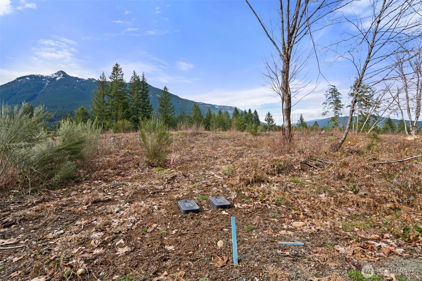 134 Grizzly Road , Packwood, WA 98361