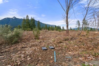 134 Grizzly Road , Packwood, WA 98361 - Photo 9